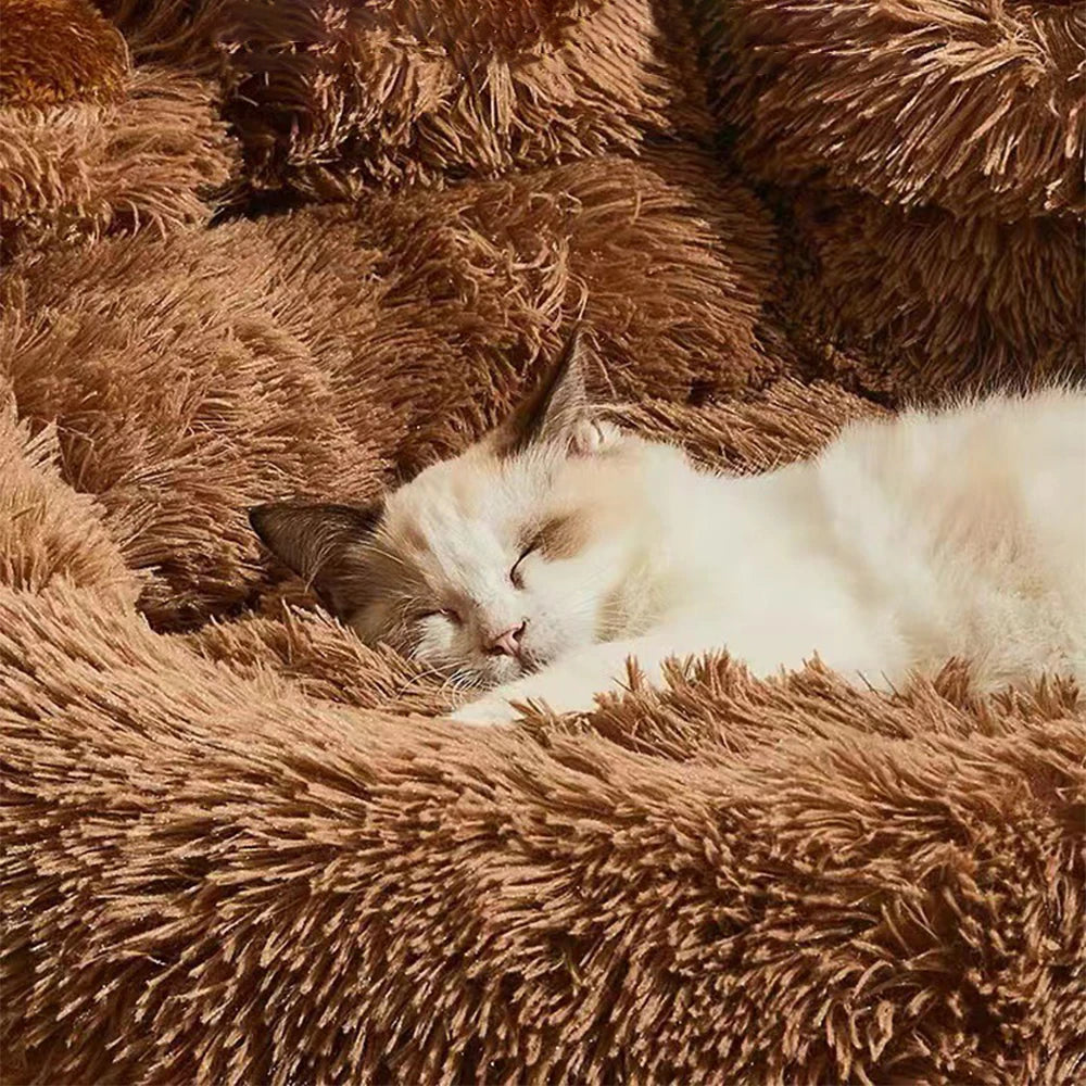 WittyPaws™ Calming Bear Paw Plush Pet Bed