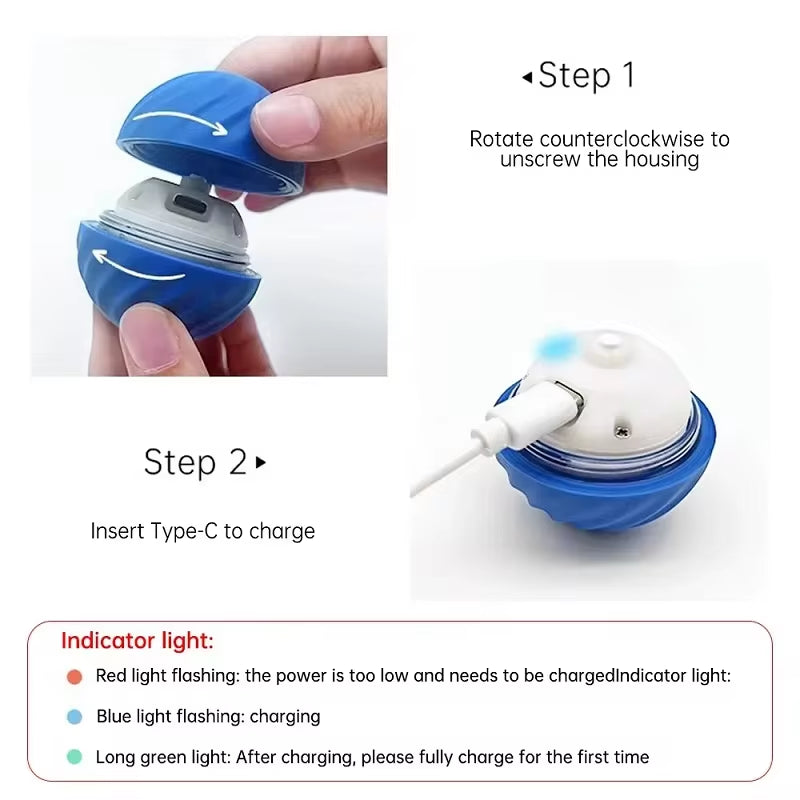 WittyPaws™ Smart-Vibe Interactive Ball