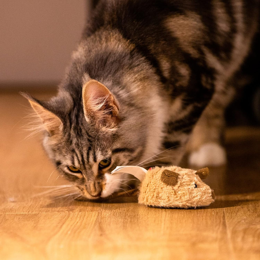 WittyPaws™ Smart-Mouse Interactive Toy