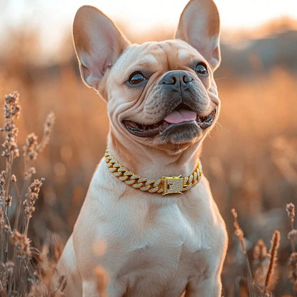 WittyPaws™ Bling Luxury Pet Chain