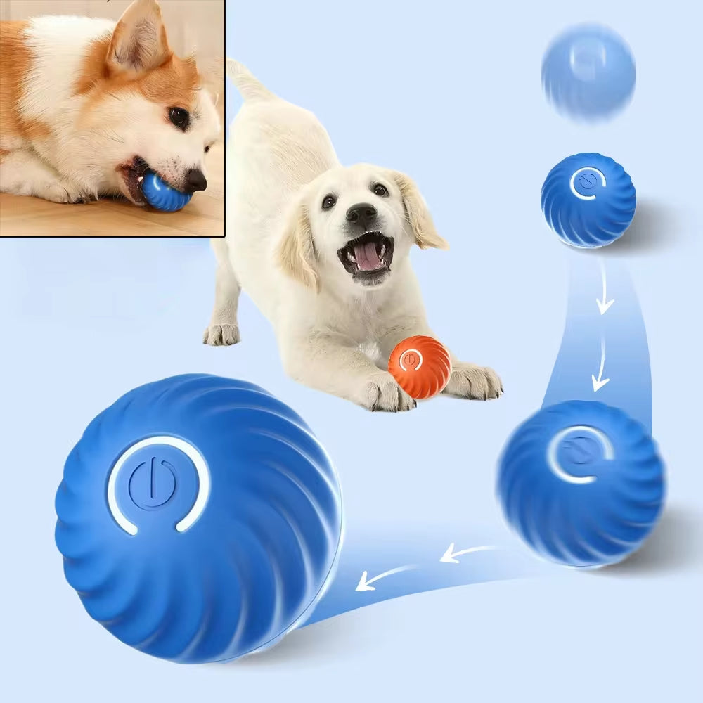 WittyPaws™ Smart-Vibe Interactive Ball