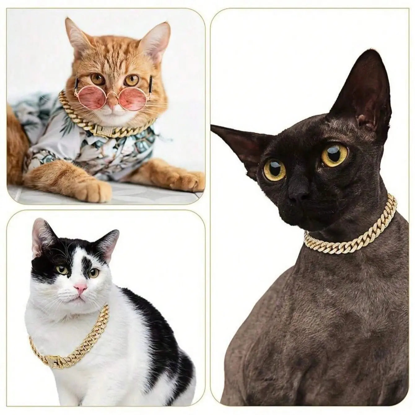 WittyPaws™ Bling Luxury Pet Chain