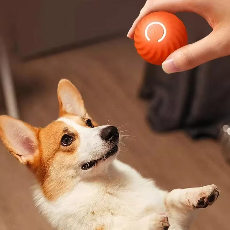 WittyPaws™ Smart-Vibe Interactive Ball