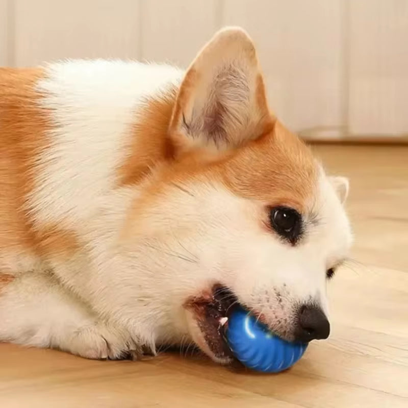 WittyPaws™ Smart-Vibe Interactive Ball
