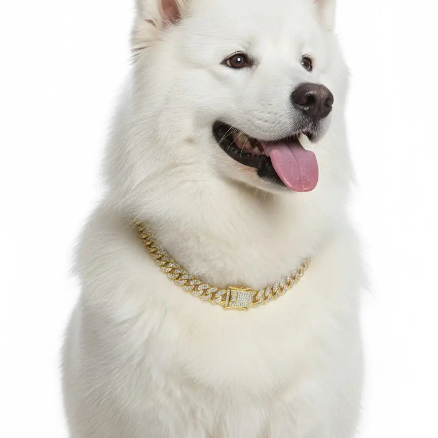WittyPaws™ Bling Luxury Pet Chain