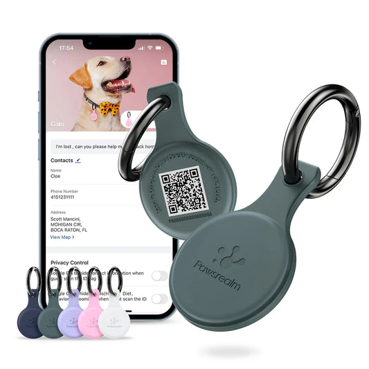 Smart Dog ID Tag, QR & NFC Pet Tag Protect Info & Full Profile, Waterproof and Lightweight, Works with Collar & Harness