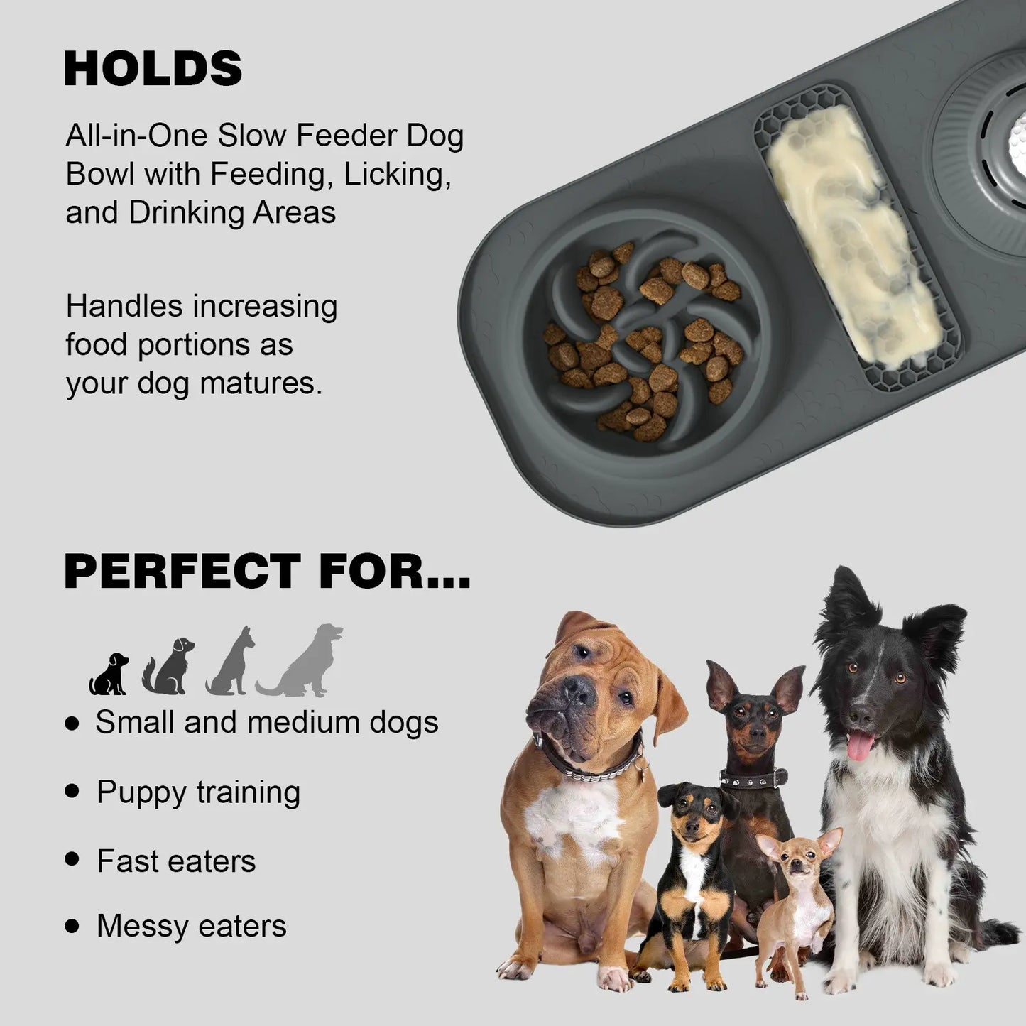 WittyPaws™ SmartDigest Interactive Feeding Station