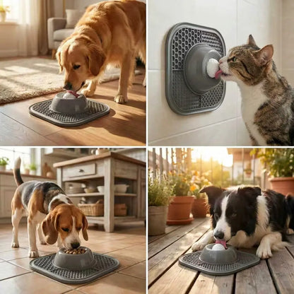 WittyPaws™ 3-in-1 Interactive Slow Feeder & Lick Mat