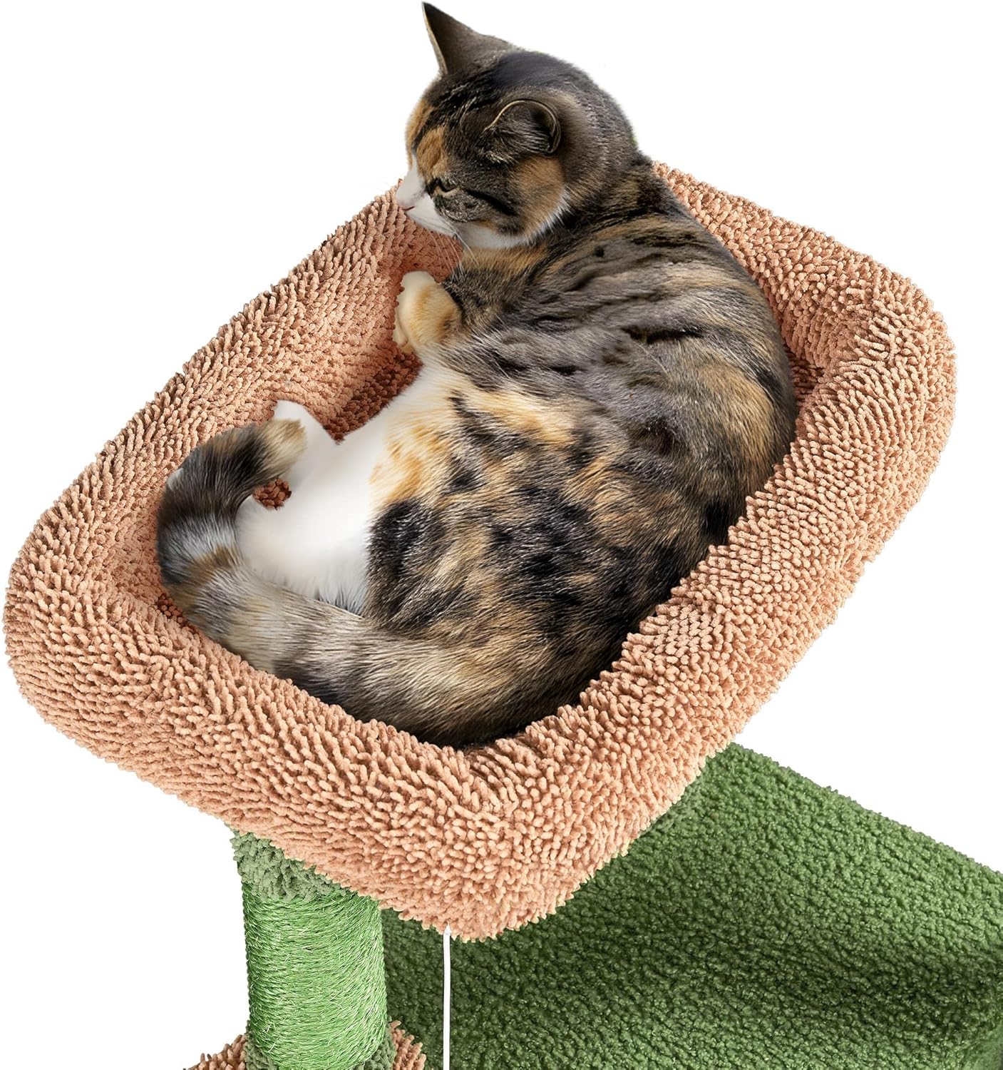 WittyPaws™ - 42-Inch Cactus Cat Tree