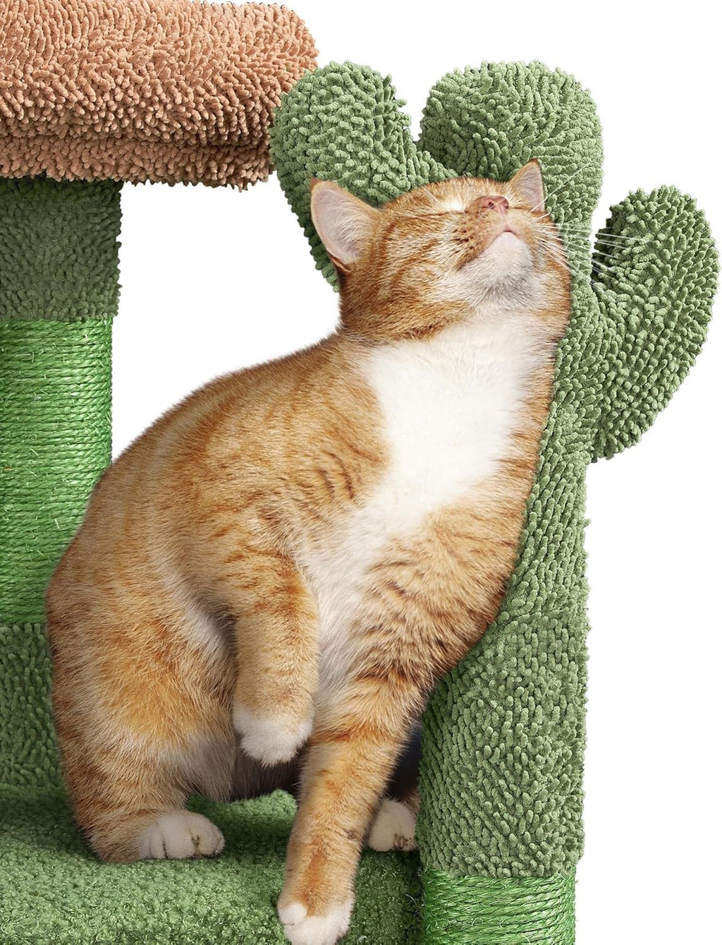 WittyPaws™ - 42-Inch Cactus Cat Tree