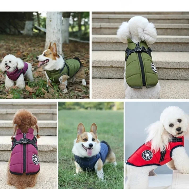 WittyPaws™ - Waterproof Winter Jacket with Built-in Harness for Dogs