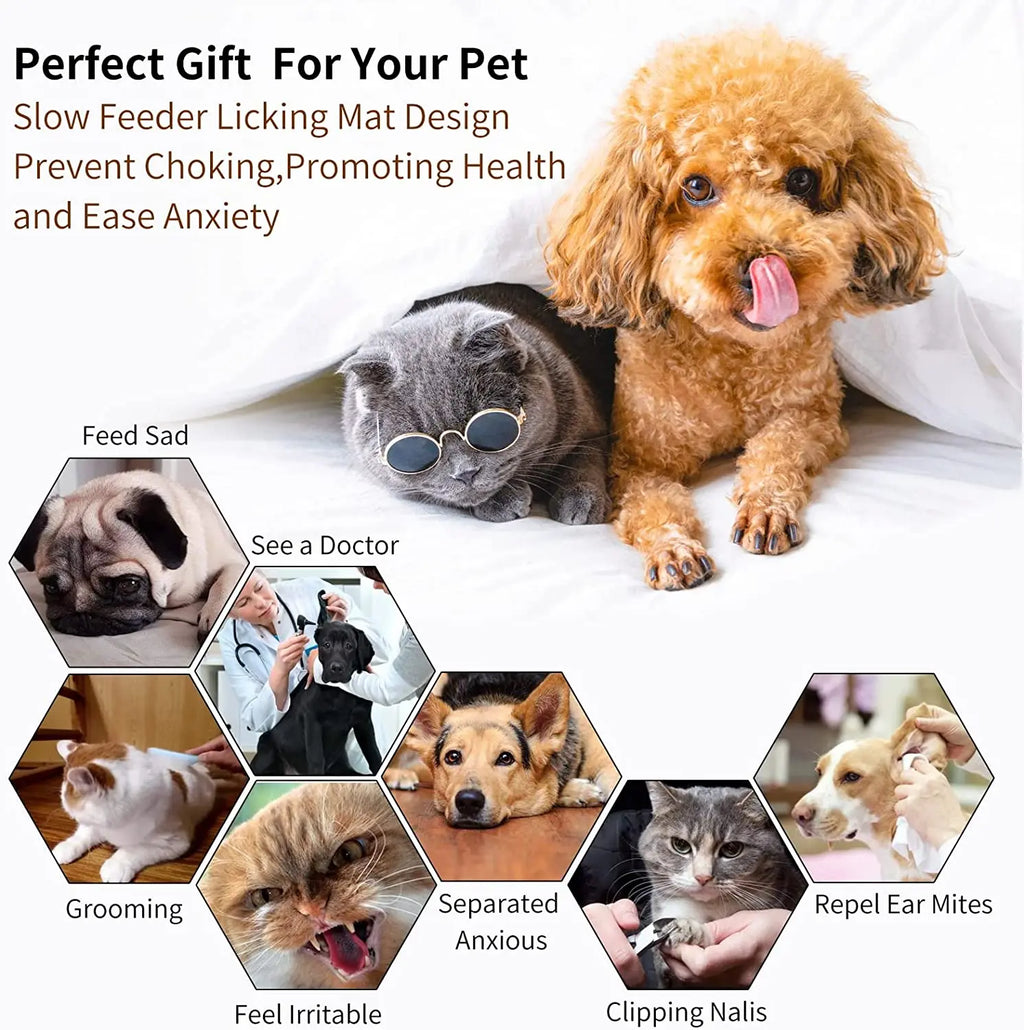 WittyPaws™ 3-in-1 Interactive Slow Feeder & Lick Mat