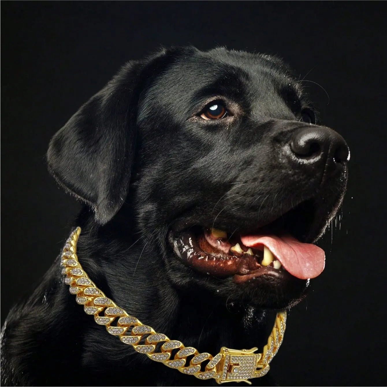 WittyPaws™ Bling Luxury Pet Chain