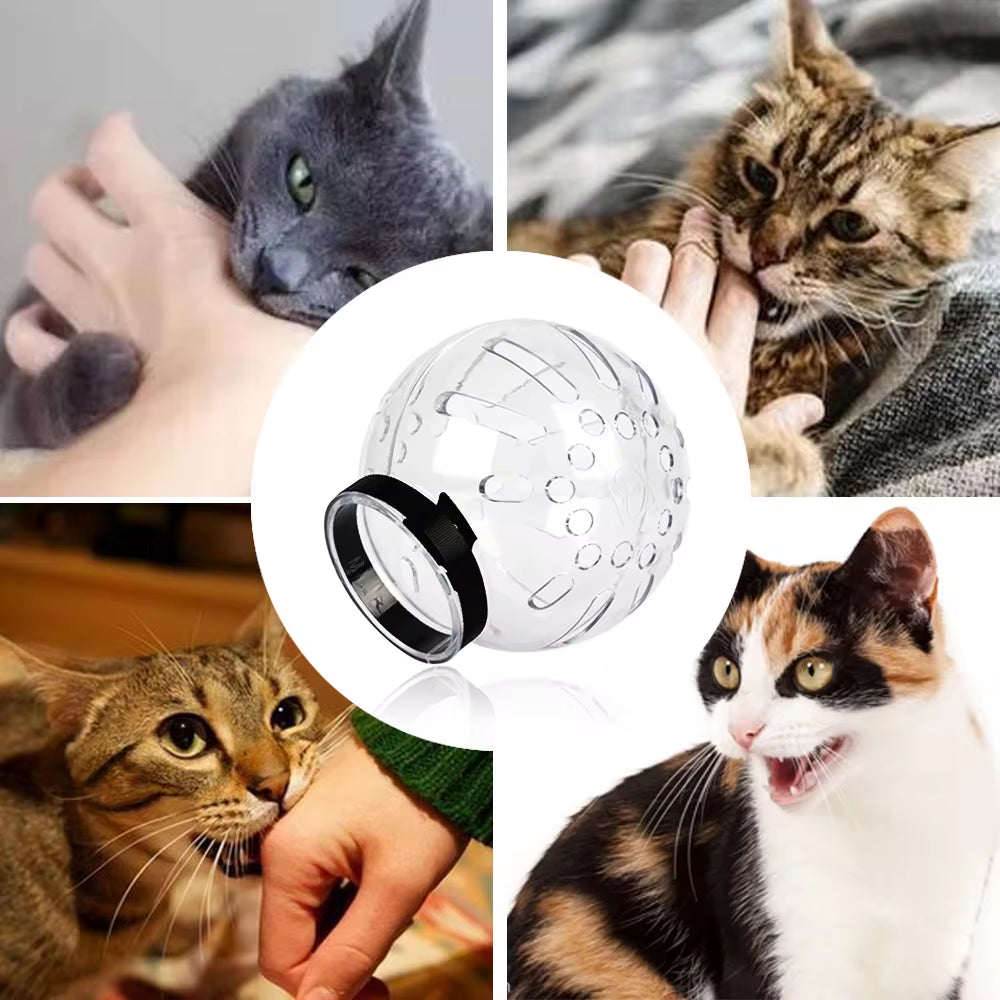 WittyPaws™ - Transparent Anti-Bite and Anti-Lick Protective Helmet for Cats