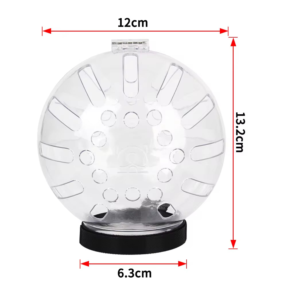 WittyPaws™ - Transparent Anti-Bite and Anti-Lick Protective Helmet for Cats