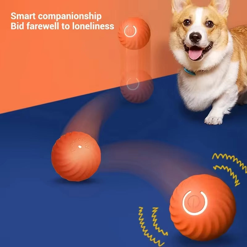 WittyPaws™ Smart-Vibe Interactive Ball