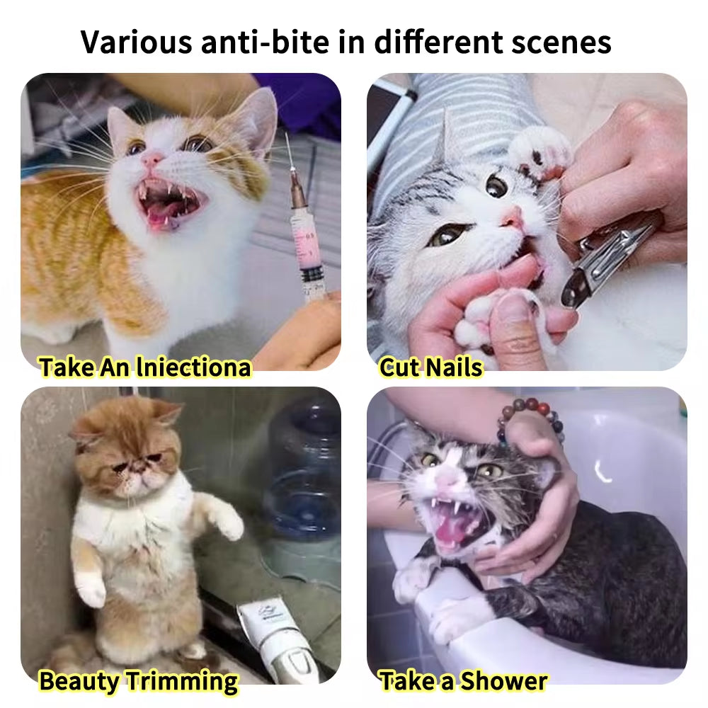 WittyPaws™ - Transparent Anti-Bite and Anti-Lick Protective Helmet for Cats