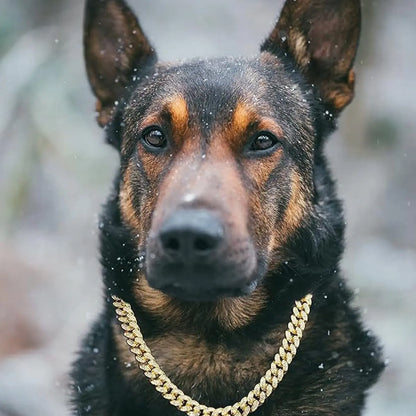 WittyPaws™ Bling Luxury Pet Chain